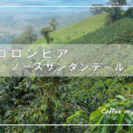 2026年はマイルドなコロンビアからスタート・新銘柄入荷のお知らせ『コロンビア　ノースサンタンデール』